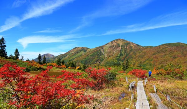 Myoko niigata